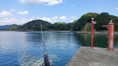 今日も安定のネイリ(苦笑;)