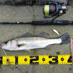 2匹合わせてランカー✌️😁