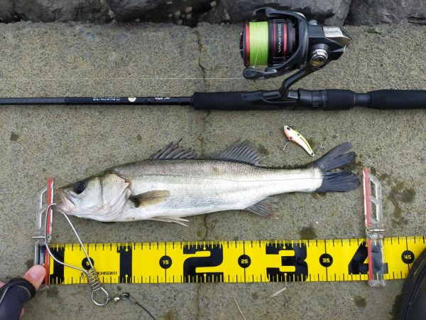 2匹合わせてランカー✌&#x…