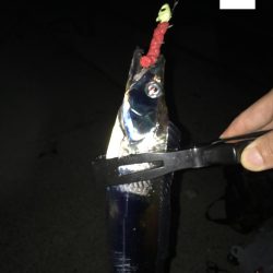 朝マヅメに何とか1発!