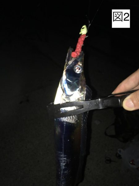 朝マヅメに何とか1発！