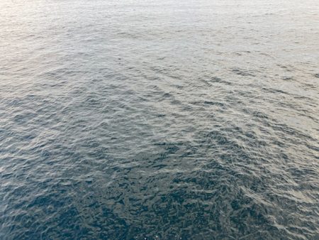 久しぶりに青物が釣れましたが