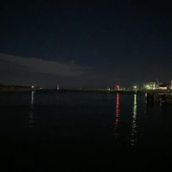 ファミリーフィッシング!