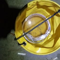 ぶら～っと夜釣り