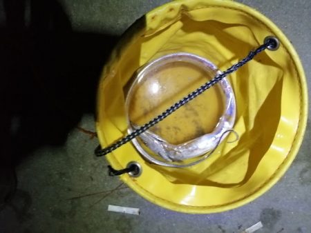 ぶら～っと夜釣り