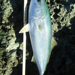 秋の青物狙いpart 2