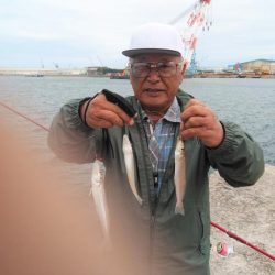 やっと時合を捉えました