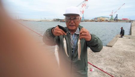 やっと時合を捉えました