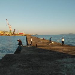 久しぶりの買い物待ち釣行