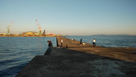 久しぶりの買い物待ち釣行