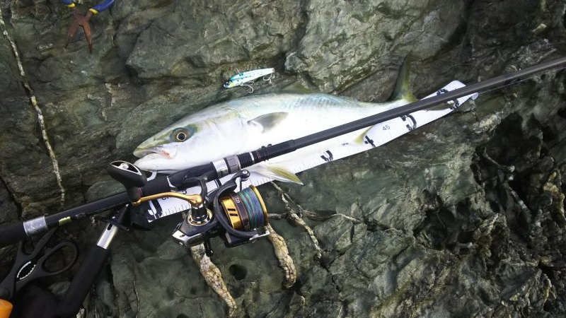 秋の青物狙いpart3～5