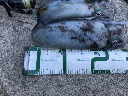 2022 佐渡ヶ島エギング 28回目【10月13日】