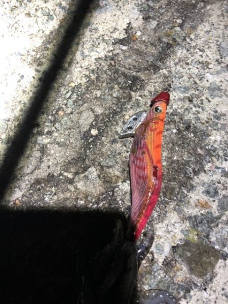 2022 佐渡ヶ島エギング 33回目【10月22日】