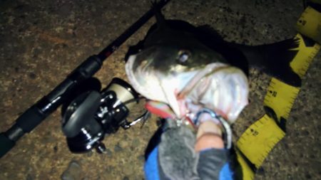 ぶら　しーばす！！