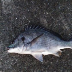 人ゴミさけて！