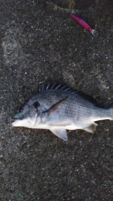 人ゴミさけて！