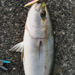 久しぶりです！