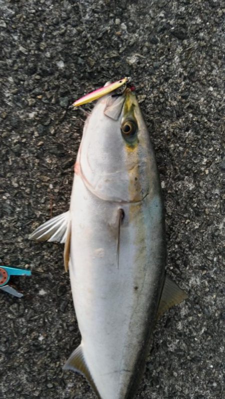 久しぶりです！