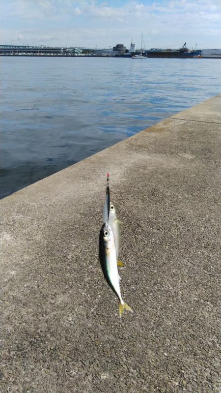 釣り座争い激化！