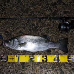 荒れ気味のコンディションにて