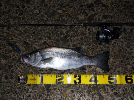 荒れ気味のコンディションにて