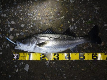 落ちアユパターン狙い