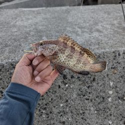 ここでも小さいながらも本命ゲット