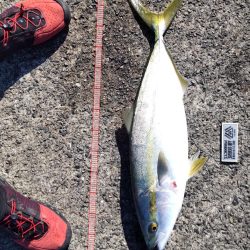 飲ませでメジロ