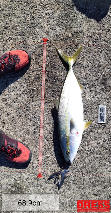 飲ませでメジロ