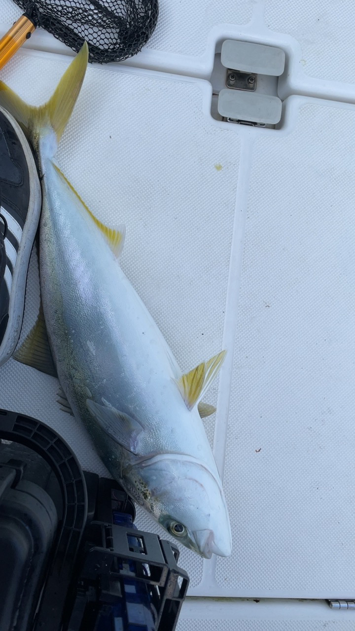 久しぶりのボート出船