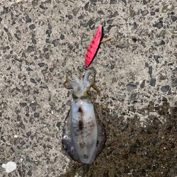 やっと秋が訪れました！