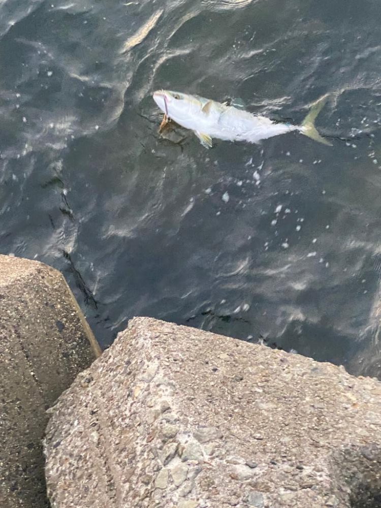 ショアジギング