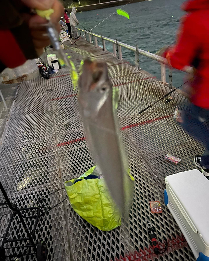 とっとパーク小島でタチウオ爆釣！！