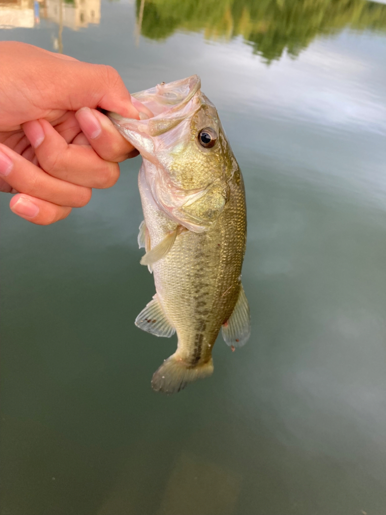 津風呂湖おっかパリ
