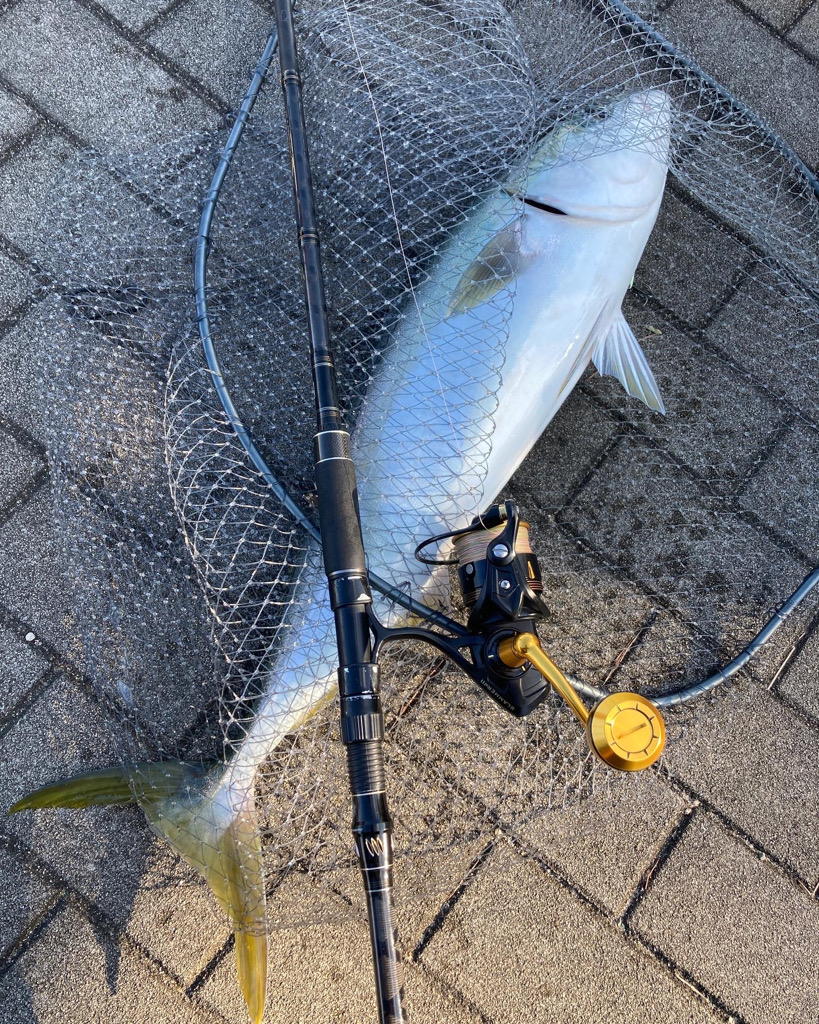 急変激渋。。メジロ74cm。。。