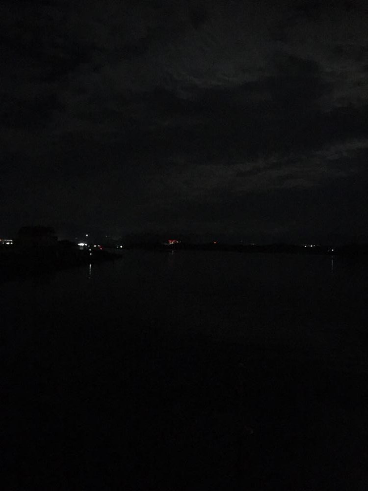 深夜の太刀魚調査!