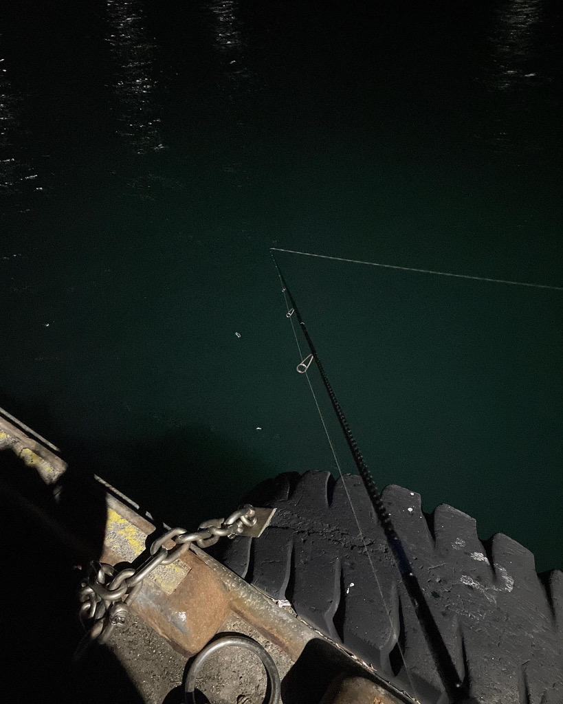 イイダコ(リリース)