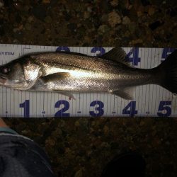 そこまで活性高くないが