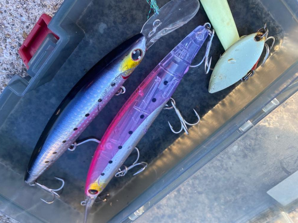 ショアプラでタッチー