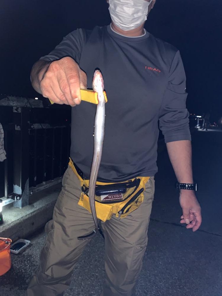 貝塚人工島 水路でアナゴ、チャリコ