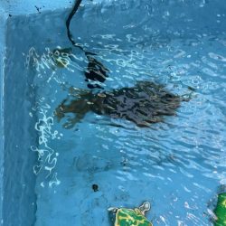 お友達と船アオリに