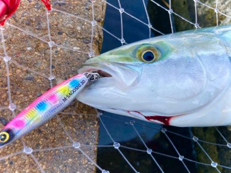 釣れない時間帯のマキマキバイブ最高！