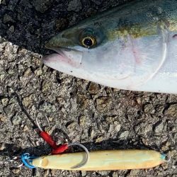 自作グローで！