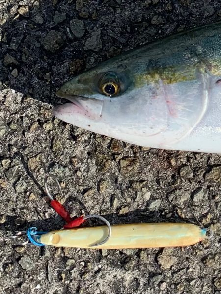 自作グローで！