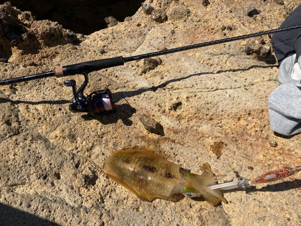 弾丸日本海ツアー