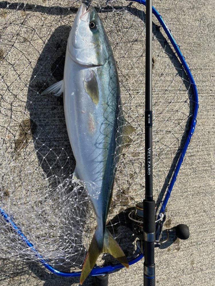 1日ショアジギング