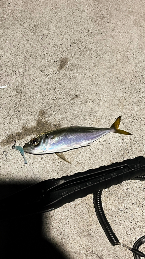 仕事終わりのナイトアジング