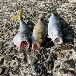 青物混声合唱団