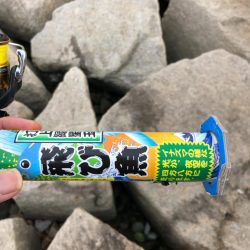 久々のデイエギング