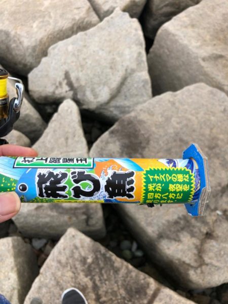 久々のデイエギング